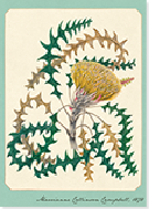 front of 'Couch Honeypot' greetings card