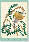 front of 'Couch Honeypot' greetings card