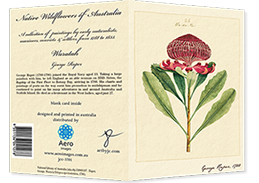 front and back of 'Waratah' greetings card
