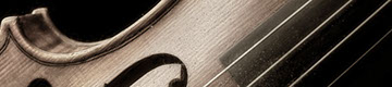 close-up photo of a violin on a dark background