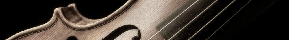 close-up photo of a violin with dark background